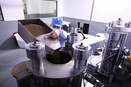 鄉村振興看重慶丨科技助力彭水紫蘇產業高質量發展